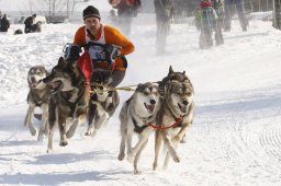 Lenk 2012 SM